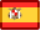 Language icon